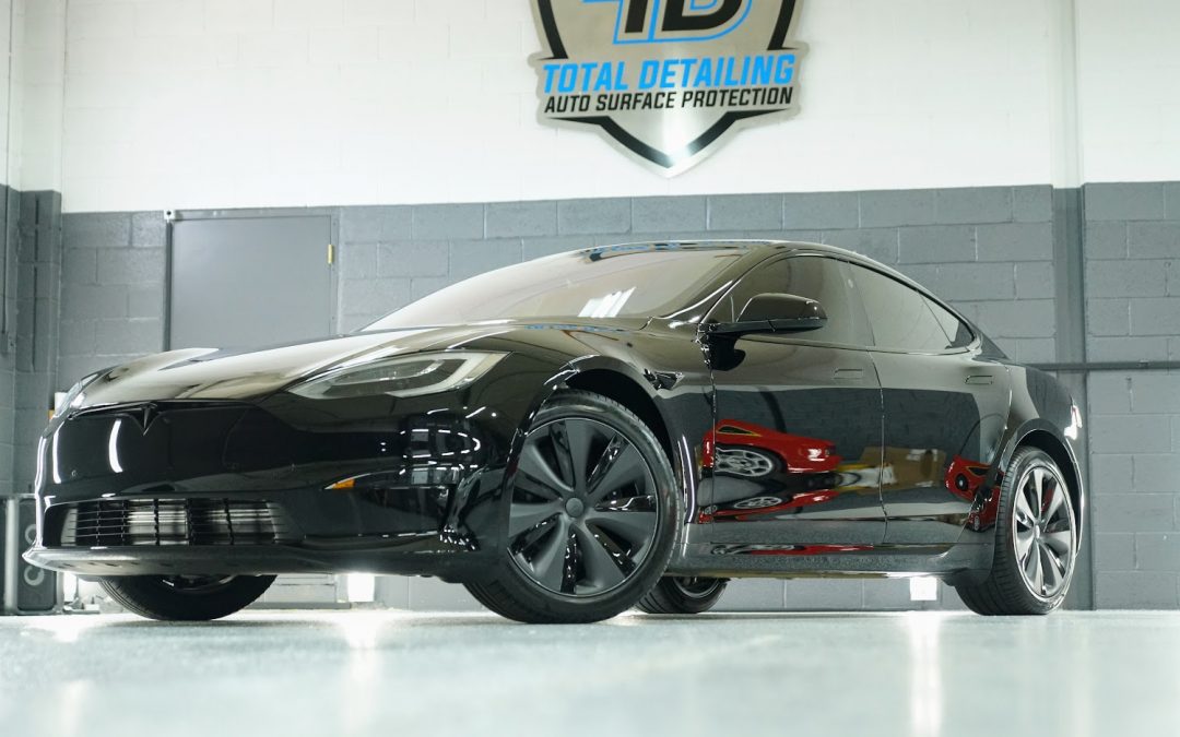 A Detailed Look on Why Professional Paint Protection Services Are Worth It to Invest?