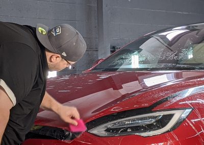 paint protection