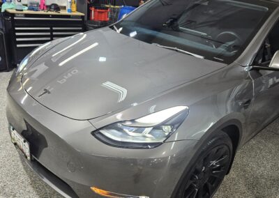 2023 Tesla Model Y white PPF