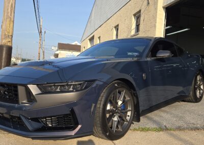 Blue Dark Horse Mustang Ceramic Coating, PPF & Window Tint
